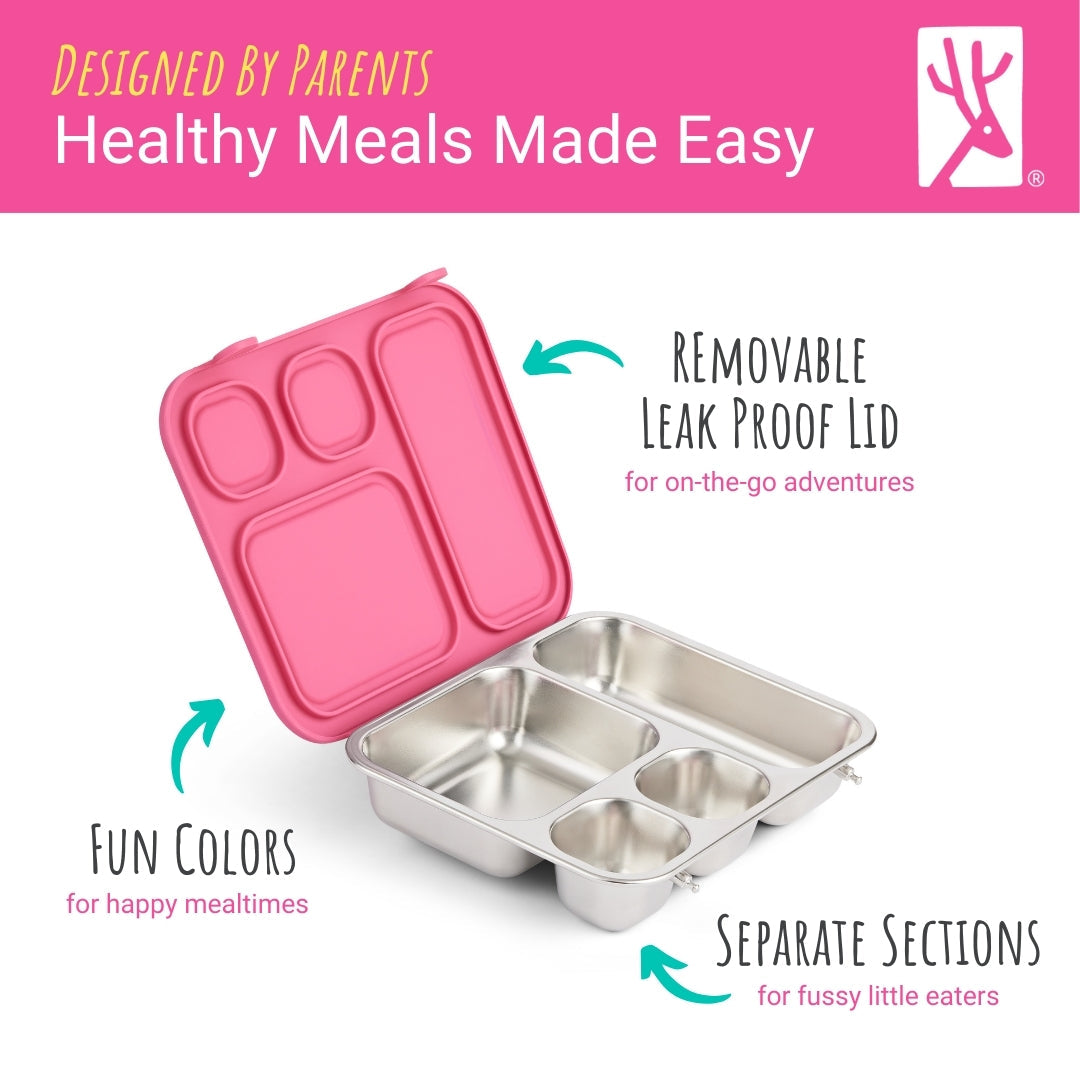 Pack + Go Combo - Bento Box + 10oz Stainless Steel Jars (Blush)