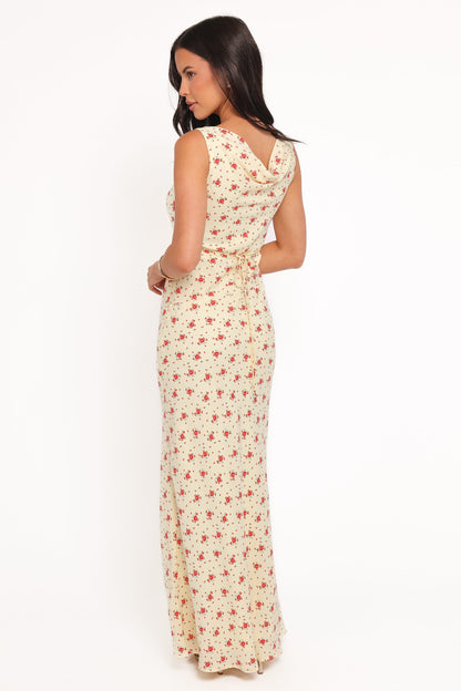 Alima Sleeveless Maxi Dress - Yellow Floral